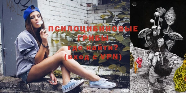 гашик Алексин