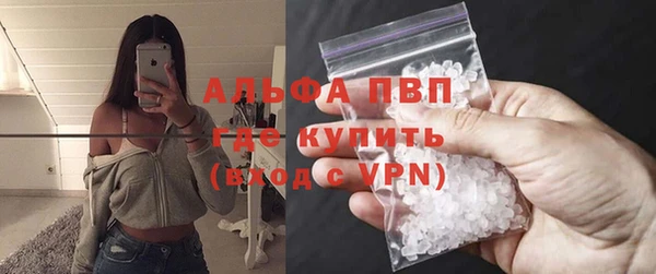 сатива Алексеевка