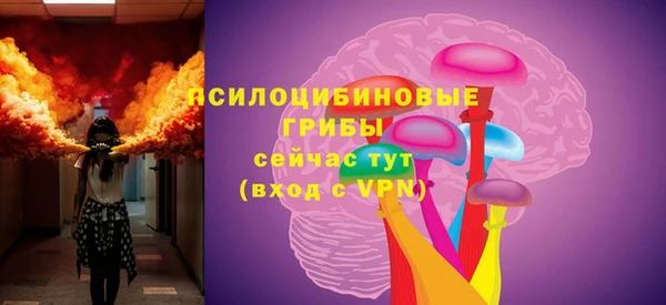 сатива Алексеевка
