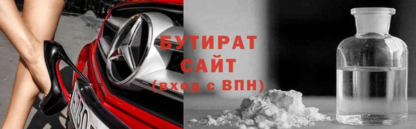 гашик Алексин