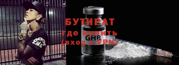 гашик Алексин