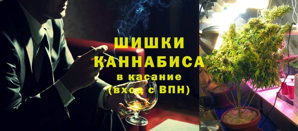 spice Алзамай