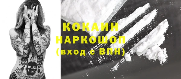 spice Алзамай