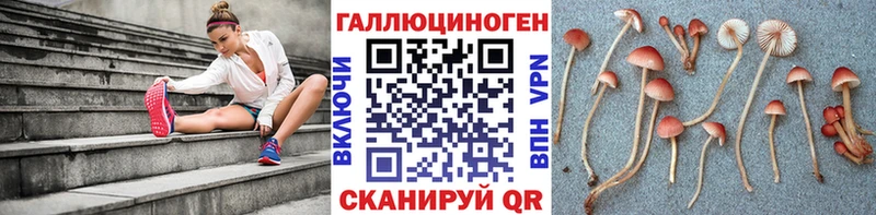 гидра   Ивангород  Галлюциногенные грибы GOLDEN TEACHER 